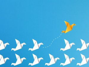 Navigating Change